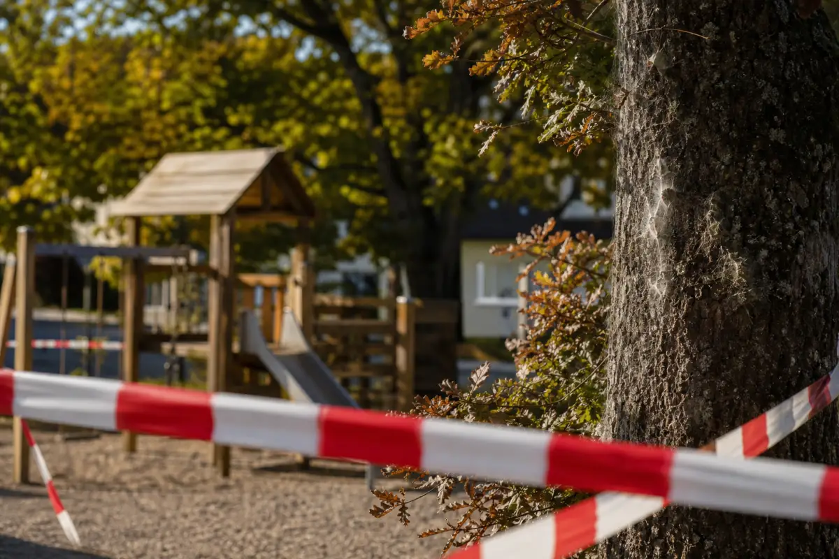 Eichenprozessionsspinner am Spielplatz: Sperrung und Sicherheit